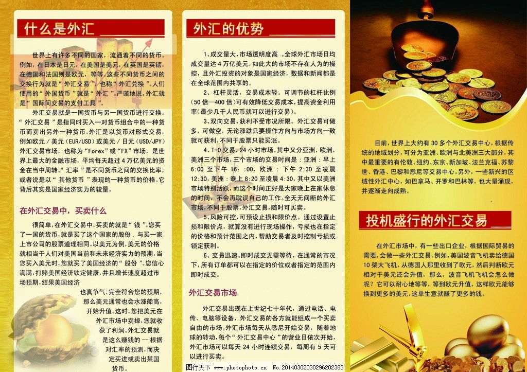 投資咨詢彩頁 開啟財富增長的專業向導
